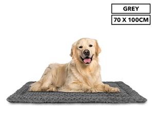 Trendy Pets 70x100cm Super Soft Pet Mat - Grey