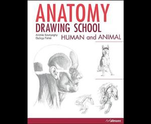 Anatomy Drawing School  Human and Animal