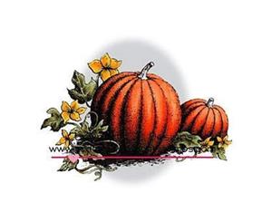 C.C. Designs - Doveart Cling Stamp 4X2.5 Pumpkin Patch