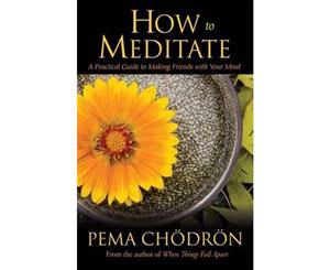 How to Meditate  A Practical Guide to Making Friends with Your Mind