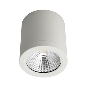 Lutec 10W LED IP54 Cool White White Finish Sura Downlight