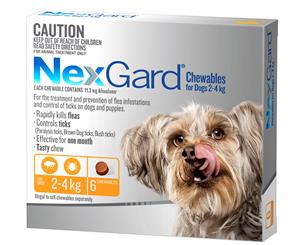 NexGard Flea & Tick Control Chews for Small Dogs 2-4kg 6pk