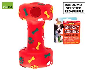 VitaPet Energy Burner Workout Dog Toy - Randomly Selected