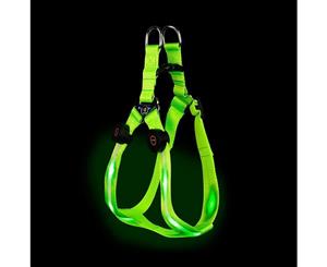 Loomo LED Dog Harness Green