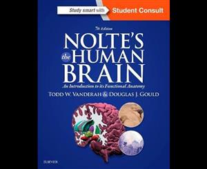 Nolte's the Human Brain  An Introduction to its Functional Anatomy