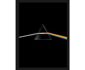 Pink Floyd  Their Mortal Remains