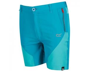 Regatta Childrens/Kids Sorcer Mountain Shorts (Enamel/Ceramic) - RG4103