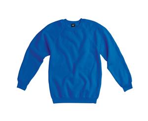 Sg Kids Raglan Sleeve Crew Neck Sweatshirt (Pack Of 2) (Royal) - BC4370