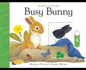 Slide And Play  Busy Bunny