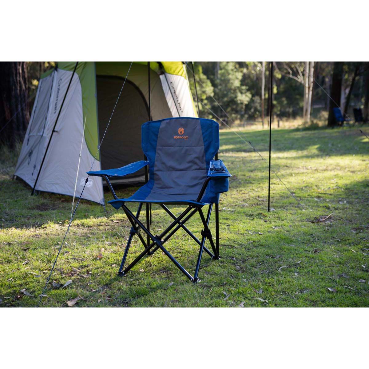 250kg discount camping chair