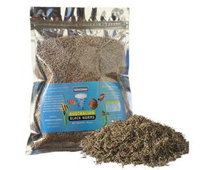 Australian Black Worm Freeze Dried 50g