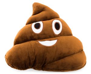 Emojiface Smiling Poop Cushion