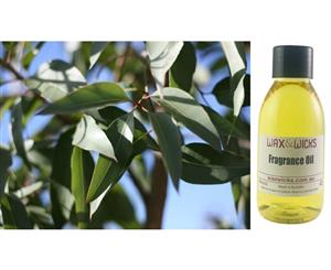 Eucalyptus Citriodora - Fragrance Oil