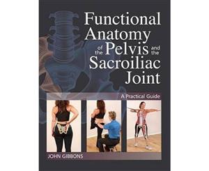 Functional Anatomy Of The Pelvis And The Sacroiliac Joint  A Practical Guide