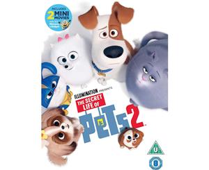 The Secret Life of Pets 2 DVD