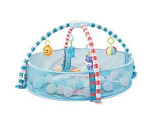 Baby Music and Sound Toys Activity Gym Centre & Ball Pit Infant Floor Mat