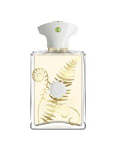 Bracken 100ml