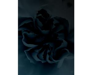 Dark Rose canvas art print - 75x100cm - None