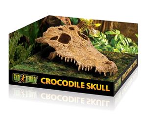 Medium Crocodile Skull Reptile Decoration by Exo Terra