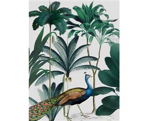 Peacock Parade canvas art print - 75x100cm - None