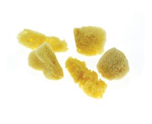 SAA Natural Sponges - Bag of Five - Medium (38-50mm)