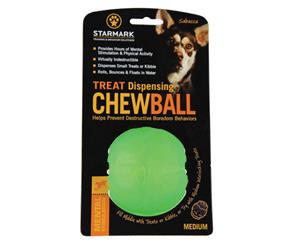 Starmark Everlasting Fun Ball Tough Chew Fetch Treat Toy [Size Small]