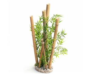 Sydeco Bamboo With Xlarge Plant 38Cm