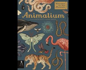 Animalium  Welcome To The Museum