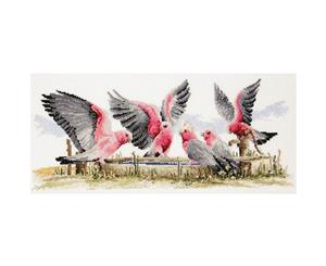 Country Threads Cross Stitch Galahs by Water Pump Australian Pattern FJP1006 (CT)