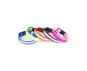 DOGLite - Colour Code - L.E.D Collar - Small - 33-43cm - Northen Lite ( )