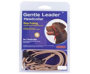 Gentle Leader Dog Training Headcollar Medium Fawn (DAG0790)