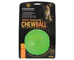 Starmark Everlasting Fun Ball Tough Chew Fetch Treat Toy [Size Large]