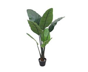 Cooper & Co Artificial Bird Of Paradise 110Cm