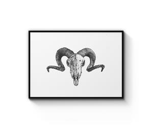 Ram Skull Drawing Wall Art - Black Frame