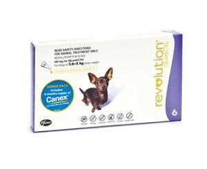 Revolution for Dogs 2.6-5kg - Purple 6 pack + Canex Intestinal Wormer