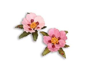 Sizzix Thinlits Dies 10 Pack Cistus Flower (Rock Rose)