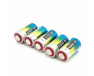 5x 4LR44 PX28AA5444LR44K28AV34PX7H344A764NZ13V4034PXL13254G134034PXPX28AB6V Alkaline Battery for Citronella Spray Stop Barking Dog Collar