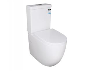 630*365*840mm Ceramic White Box Rim Back To Wall Faced Toilet Suite Standard UF Seat