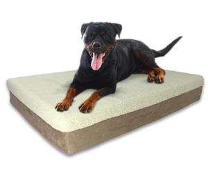 Big Paws 15CM Thick Extra Large Memory Foam Dog Bed Orthopedic - Khaki