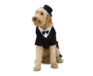 Dapper Dog Pet Costume