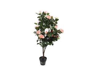 Potted 120 Cm Rose Tree Pink