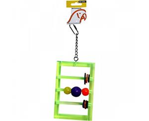 Avi One Parrot Toy Acrylic Frame