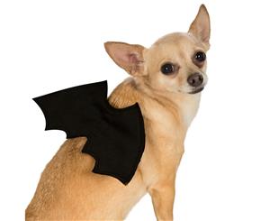 Bat Wings Pet Costume