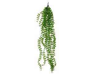 Designer Plants Hanging Pearls 90cm