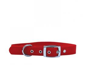 Dog Collar Single Layer Nylon 25mm - Red