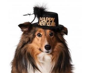 Happy New Year Pet Hat