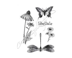 Katzelkraft - butterflies 04 - Rubber stamp - French Style - KTZ76