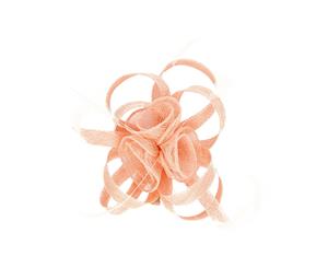 Lovisa Pink Swirl and Feather Clip