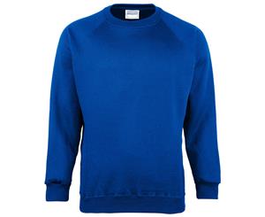 Maddins Mens Coloursure Plain Crew Neck Sweatshirt (Royal) - RW842