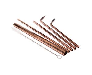 Rose Gold Stainless Steel Straw Set